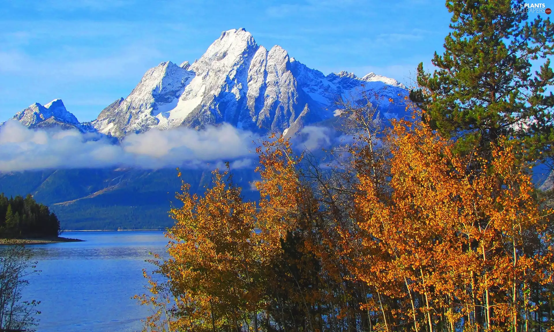 Grand Teton National Park, Mountains, Jackson Lake, Mount Moran, viewes, State of Wyoming, The United States, trees