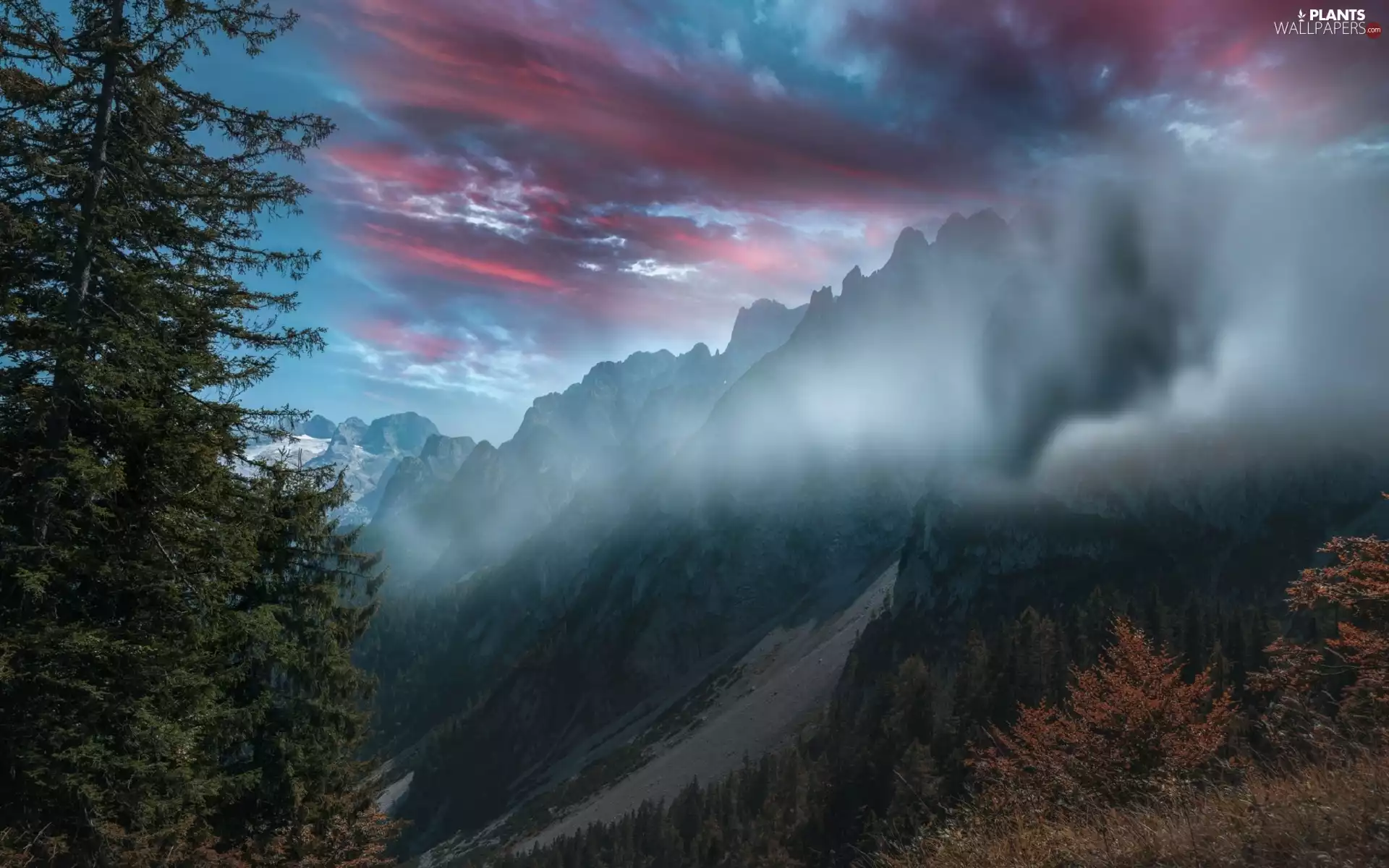 Mountains, viewes, Fog, trees