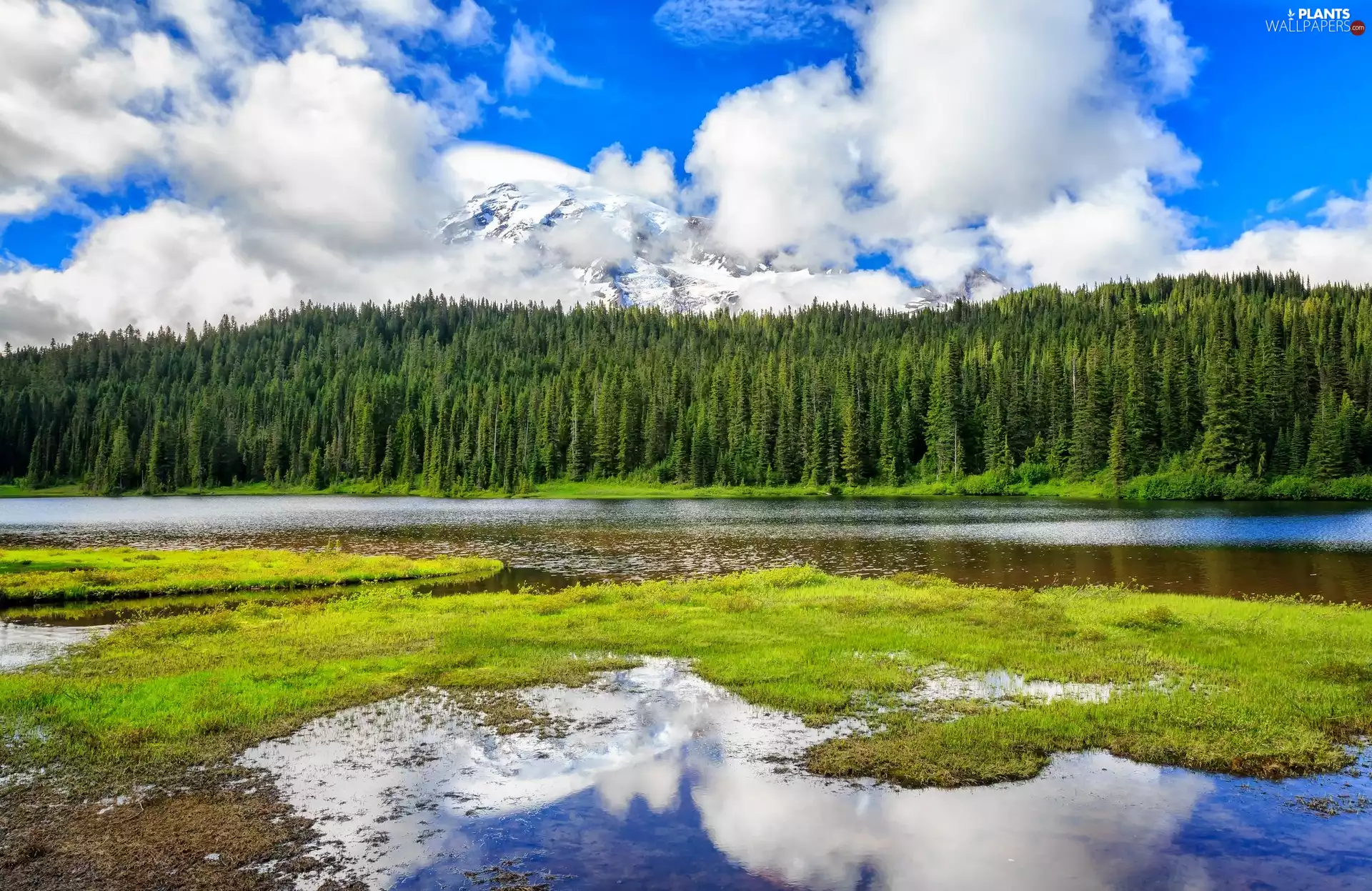 viewes, forest, Mountains, trees, River, vertices, clouds