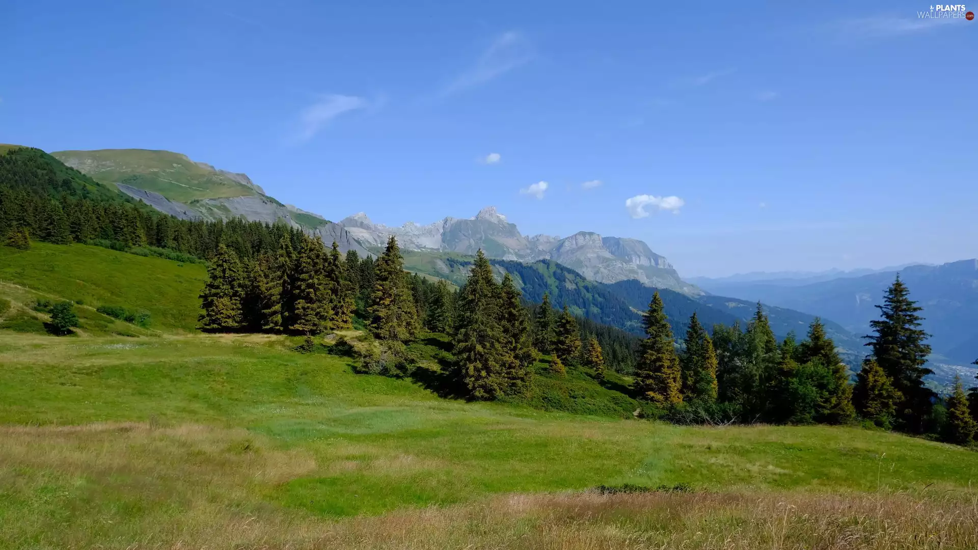 Mountains, viewes, grass, trees