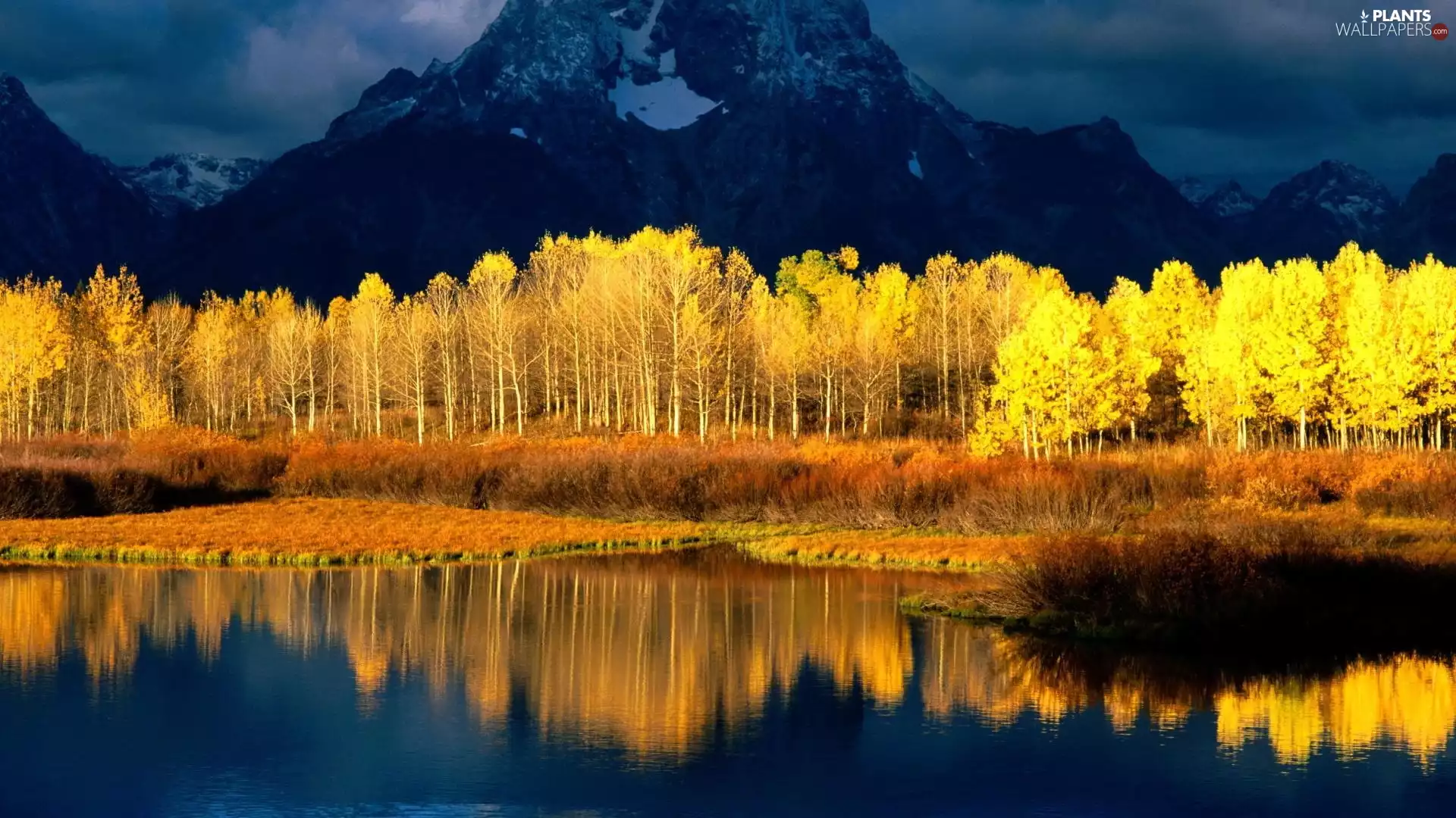 Mountains, viewes, lake, trees