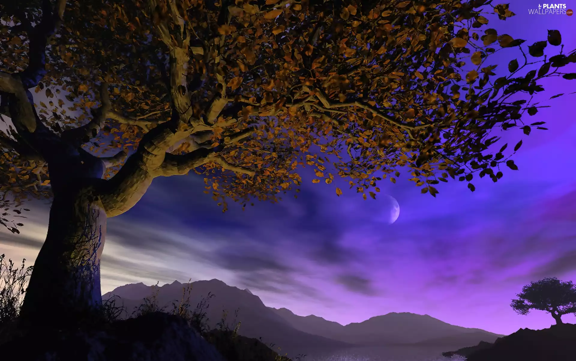 Mountains, Sky, moon, trees