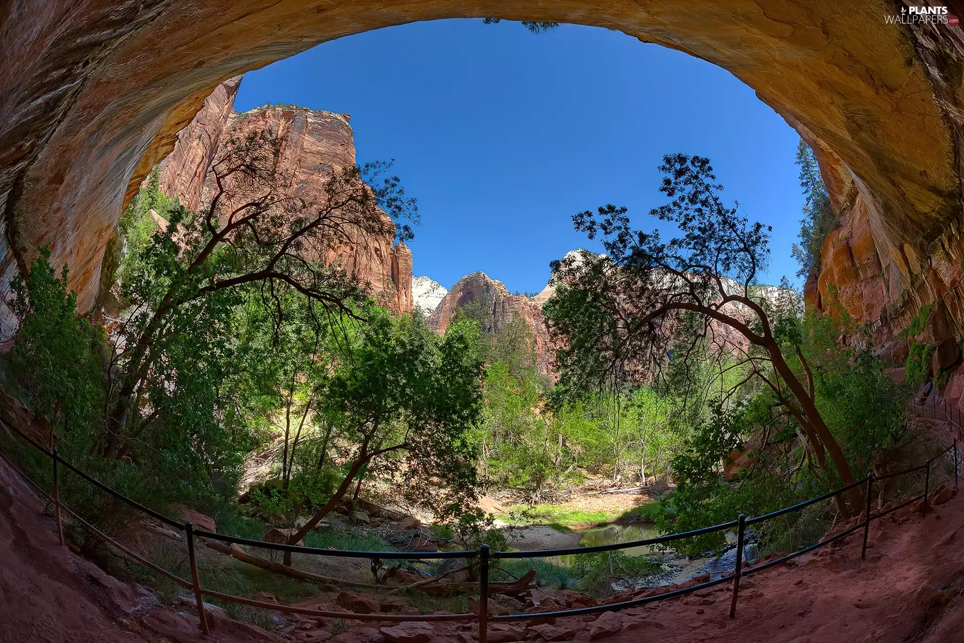 hand-rail, railing, trees, viewes, Mountains