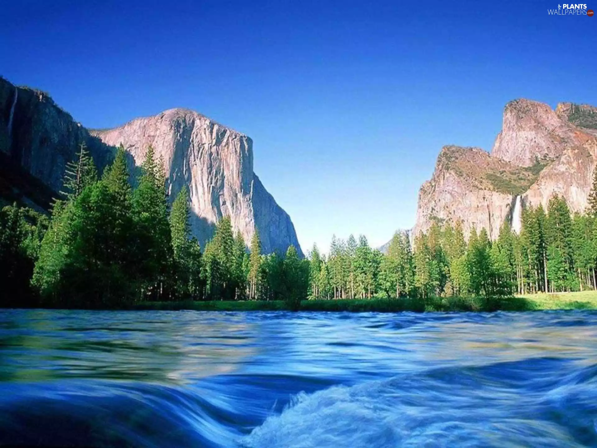 Mountains, viewes, River, trees