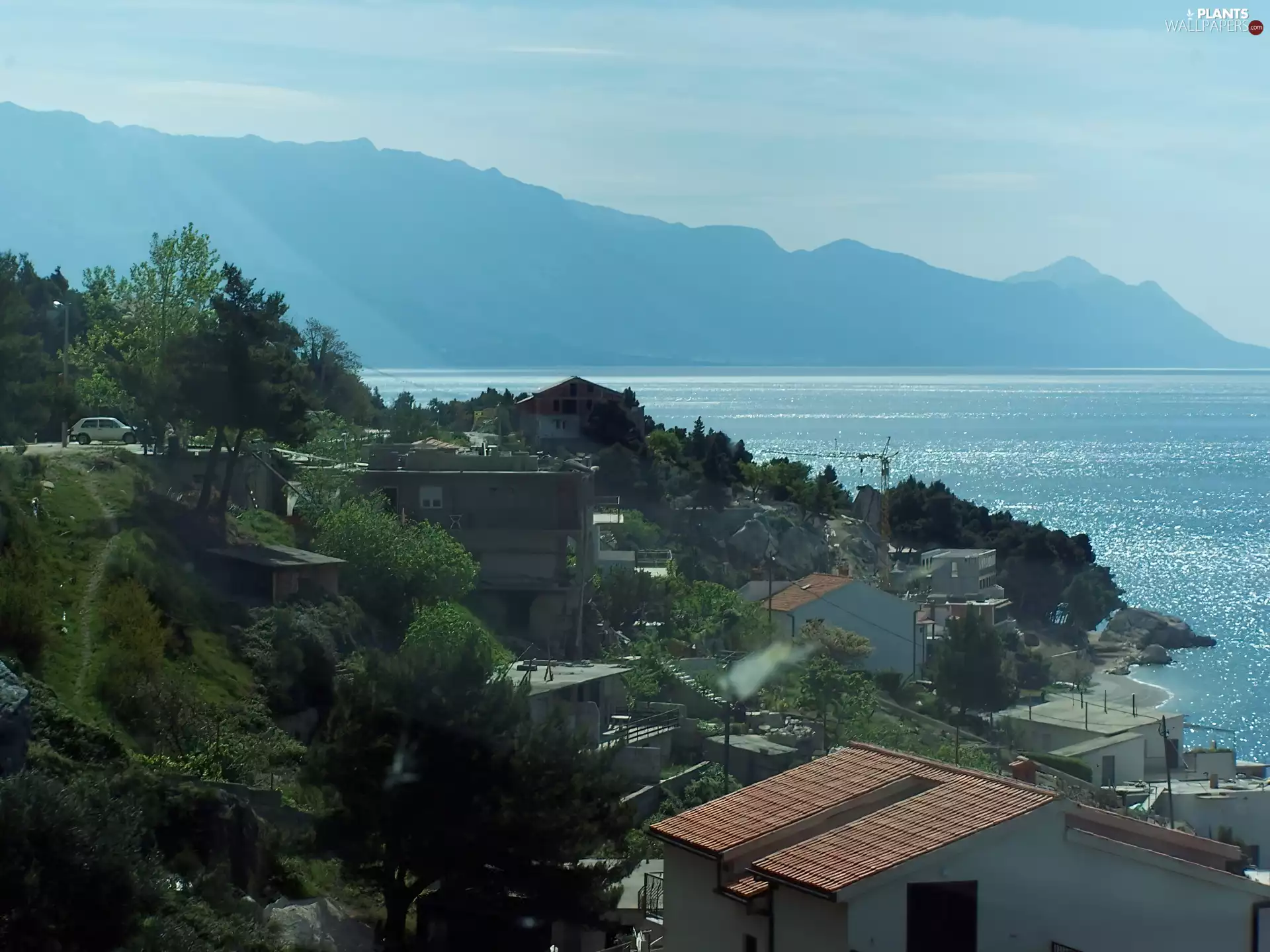 Mountains, viewes, sea, trees