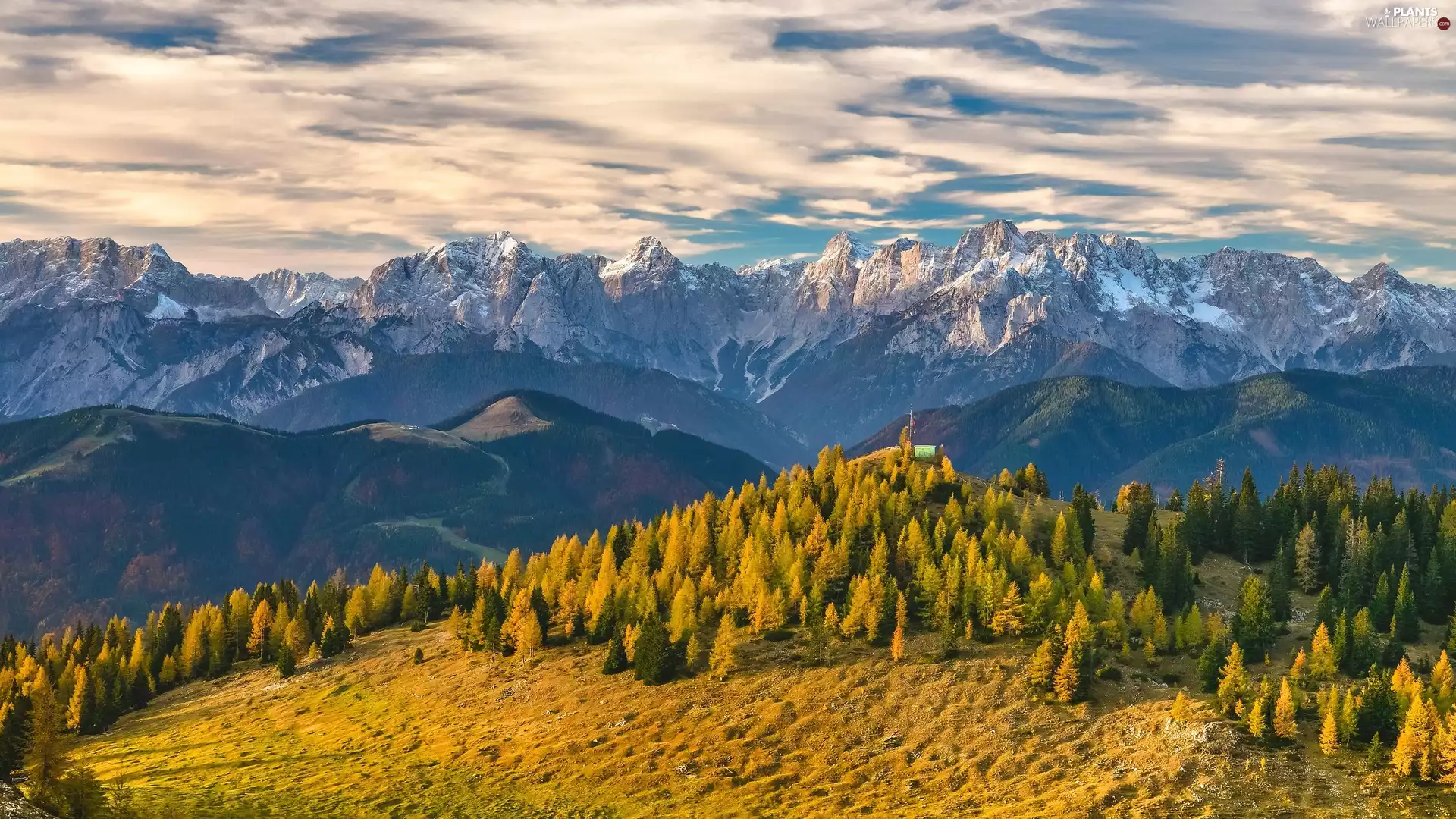 Sky, forest, Mountains, clouds, The Hills, autumn, peaks, viewes, trees, slopes, rocks