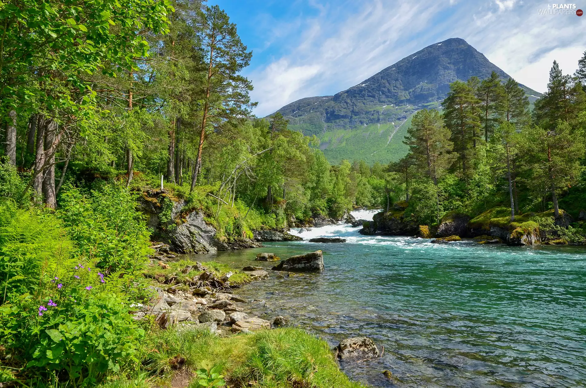 viewes, Stones, Mountains, trees, River, VEGETATION, summer