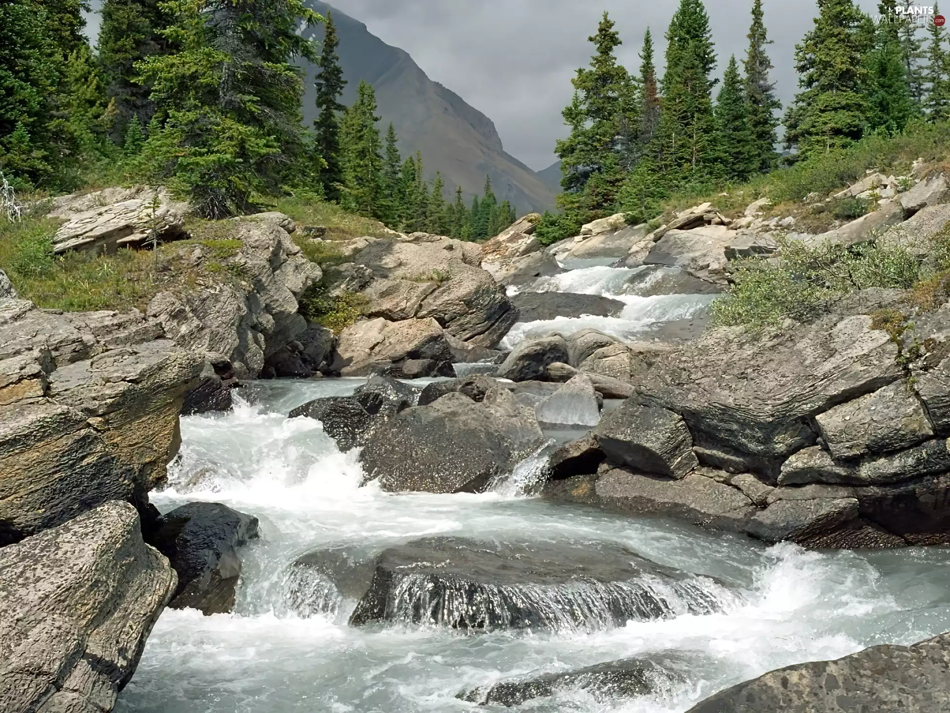 Mountains, viewes, Stones, trees