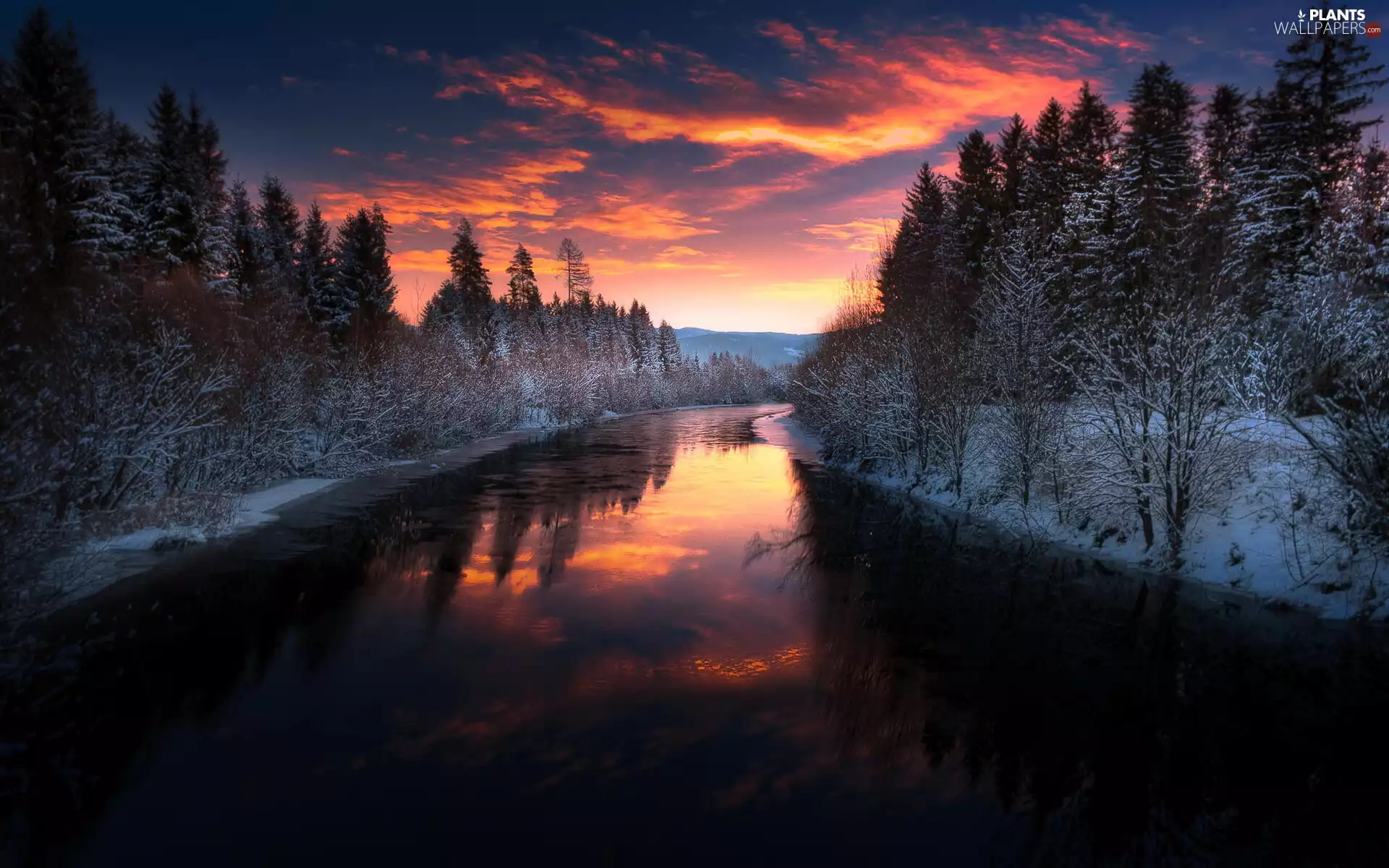 trees, River, viewes, forest, morning, Sunrise, Mountains, clouds, snow