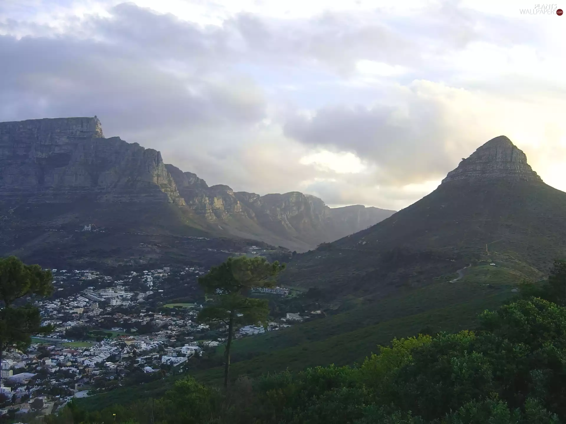 Mountains, Houses, Valley, trees