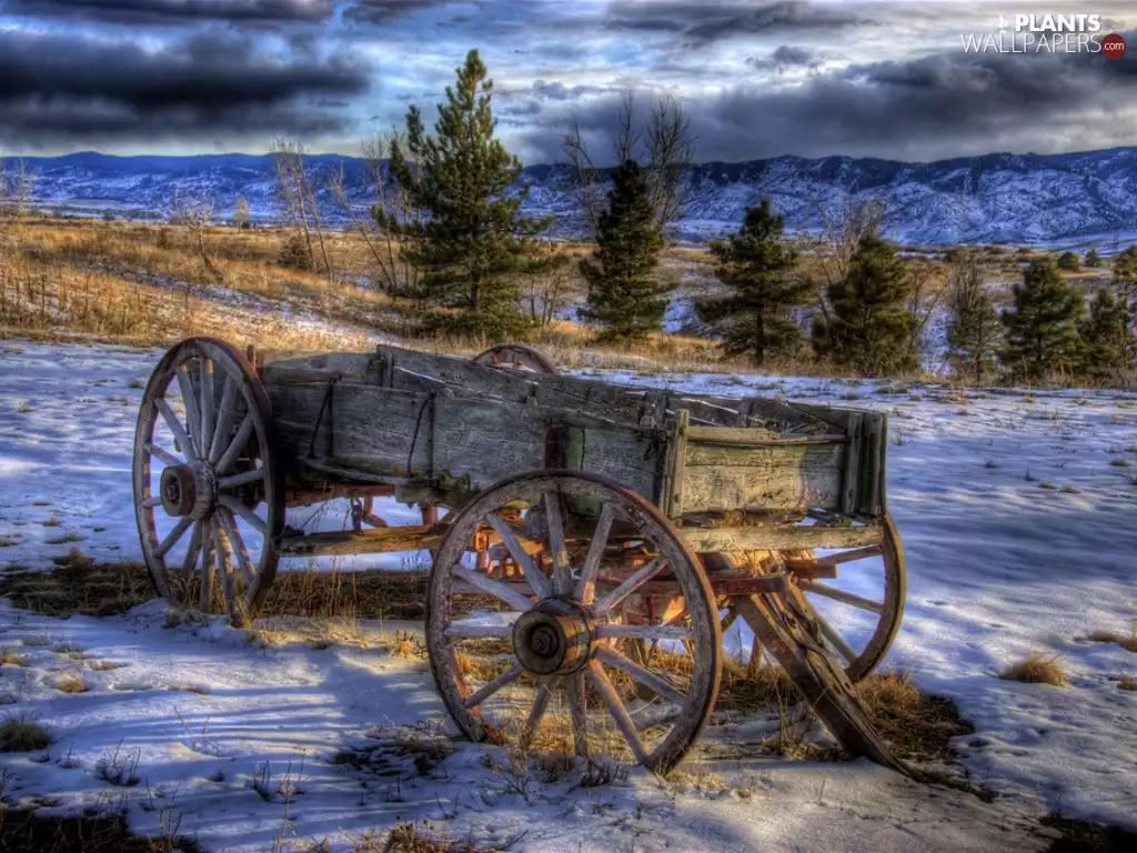 Old car, wagon, trees, viewes, Mountains