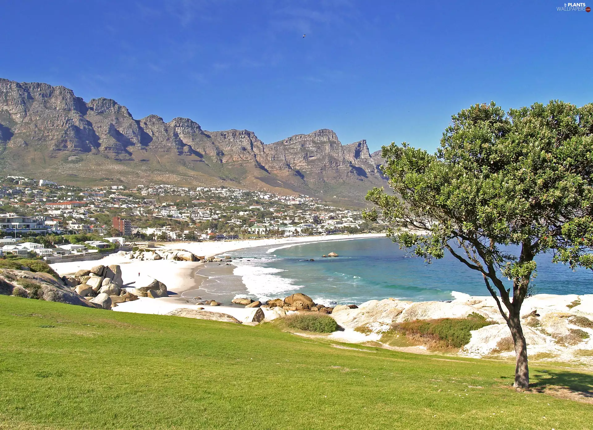 Mountains, Beaches, Waves, trees
