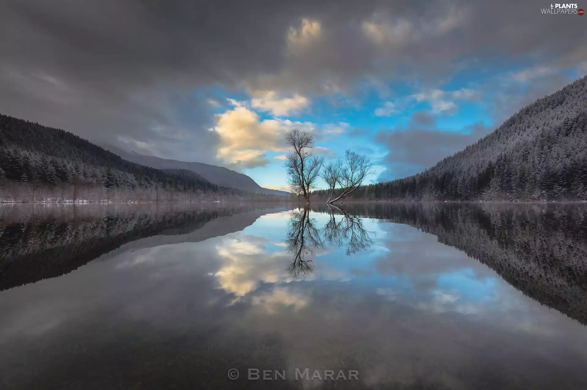 viewes, woods, Mountains, trees, lake, forested, reflection