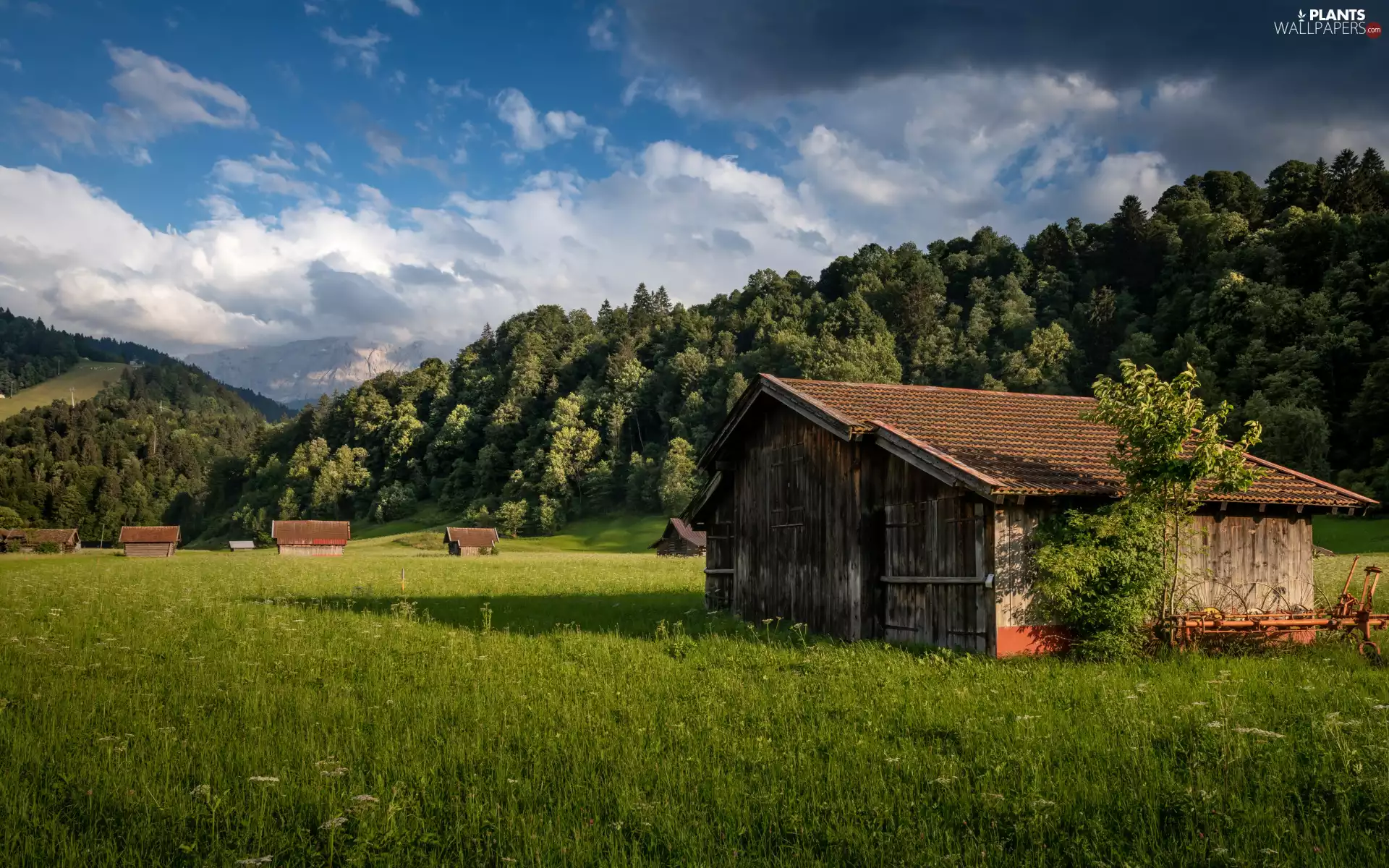 Sheds, clouds, woods, trees, car in the meadow, Sky, Mountains, viewes, Houses, wood
