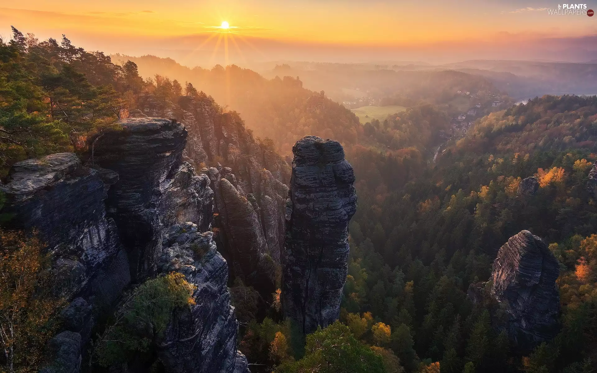 Děčínská vrchovina, rocks, rays of the Sun, trees, Sunrise, Saxon Switzerland National Park, Germany, viewes