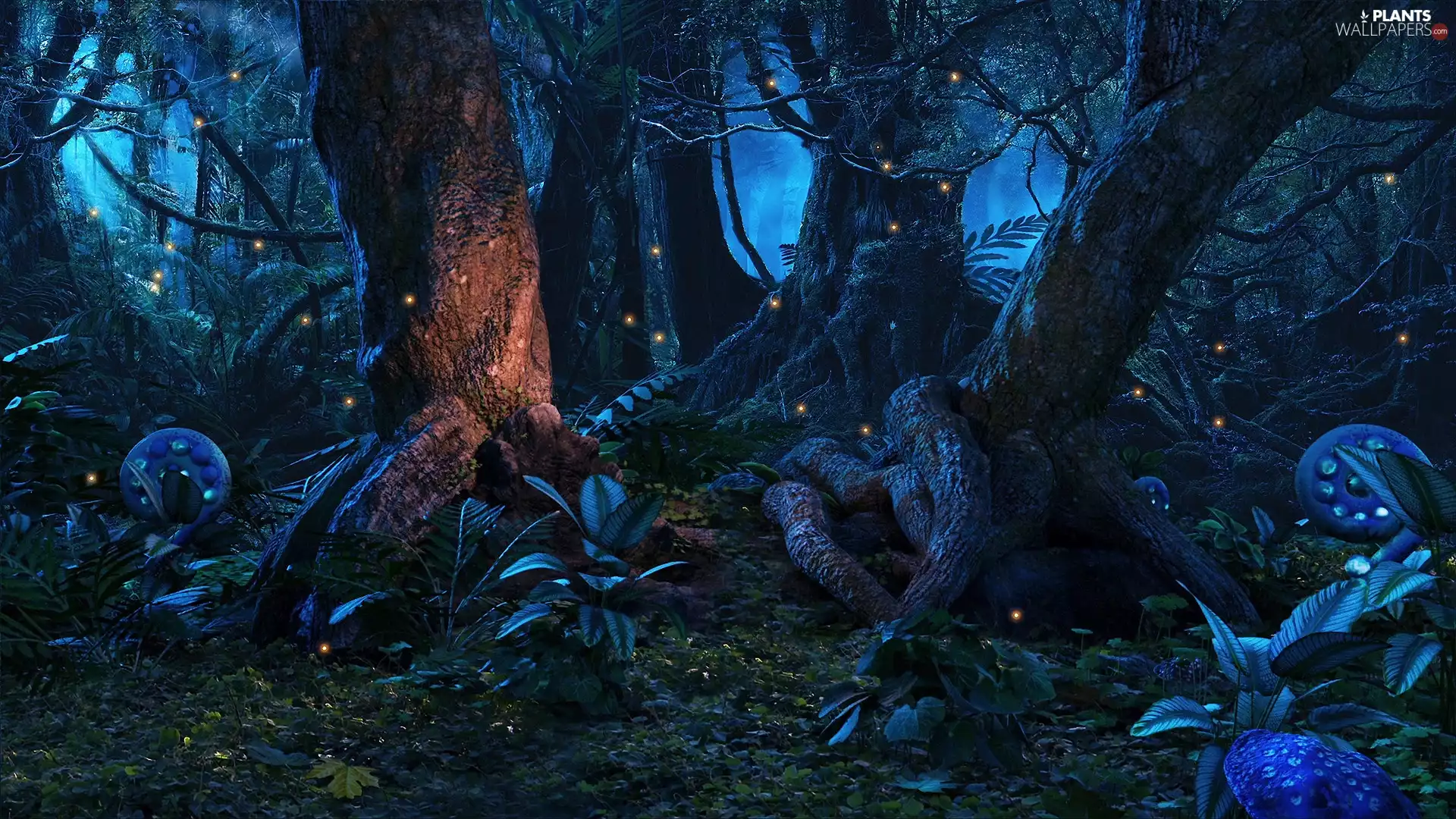 viewes, jungle, Night, trees, forest, light, graphics