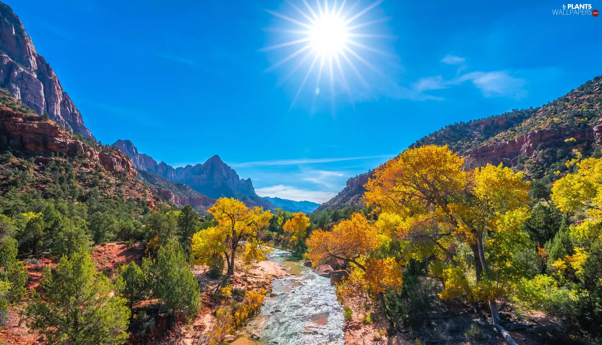 Utah State, The United States, Zion National Park, Watchman Mountains, viewes, rays of the Sun, Stones, trees, Virgin River