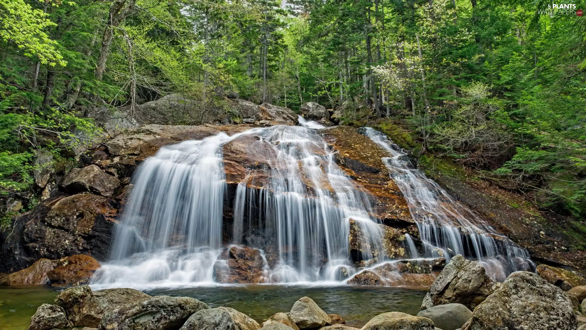 trees, viewes, Stones, waterfall, rocks, green ones, forest, mossy