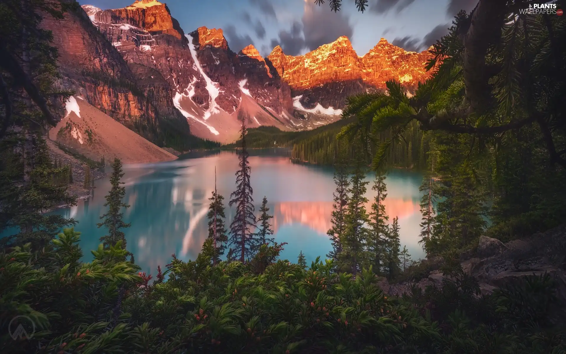 Banff National Park, Canada, Mountains, Lake Moraine, VEGETATION, reflection, trees, viewes, woods