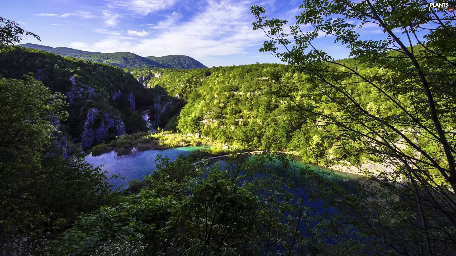 trees, Coartia, VEGETATION, Plitvice Lakes National Park, viewes, lakes