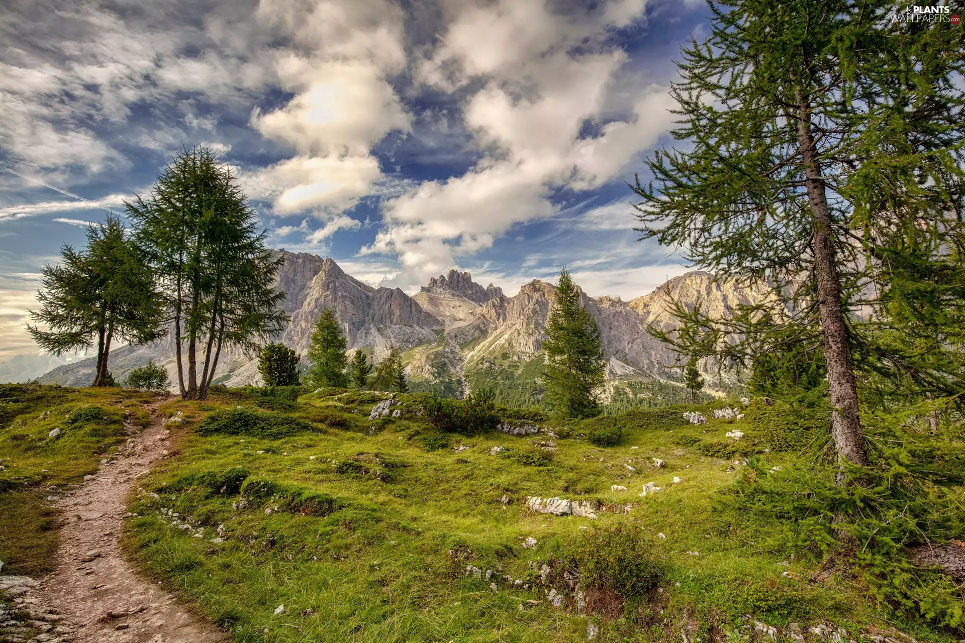 Path, viewes, Mountains, trees