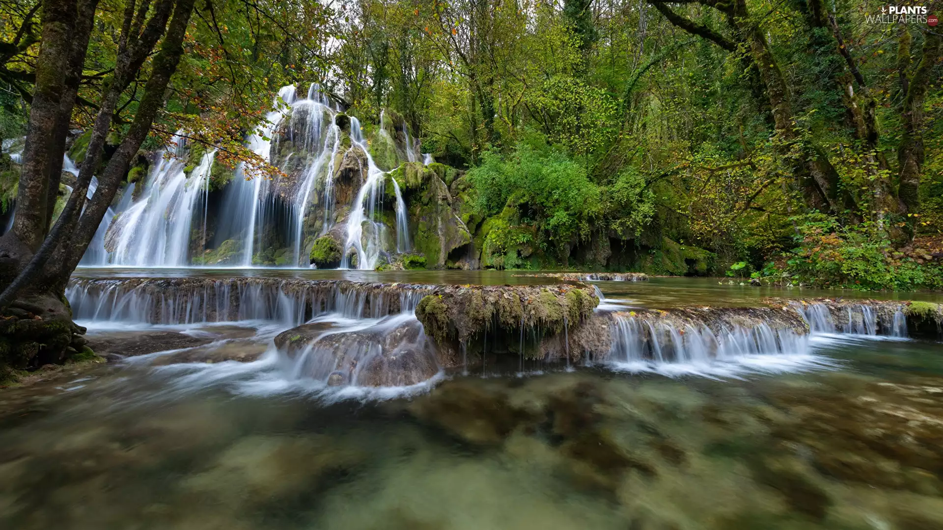 rocks, River, Plants, Stones, viewes, mossy, waterfall, trees