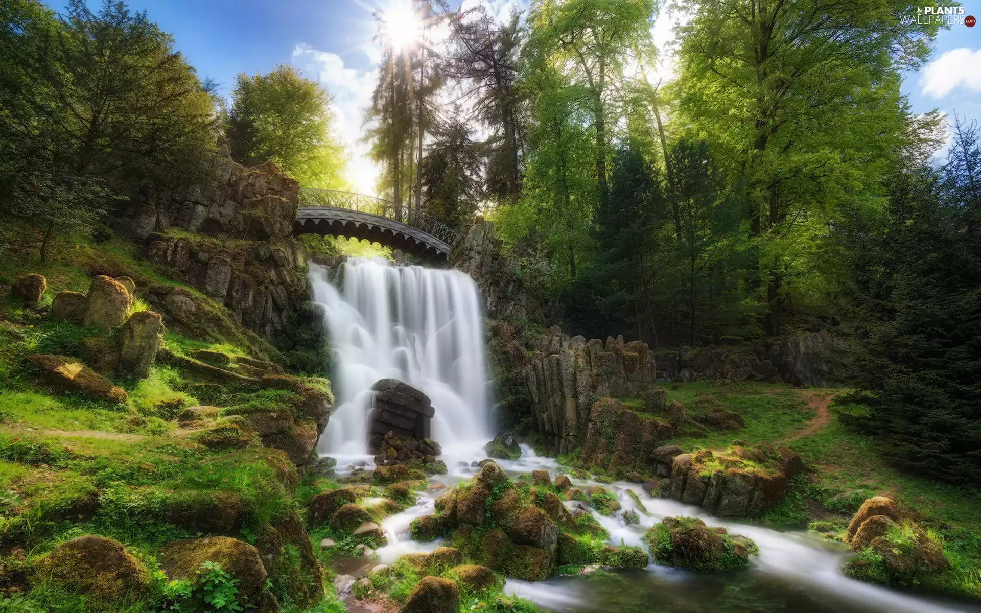 mossy, Stones, Plants, rocks, viewes, bridge, waterfall, trees