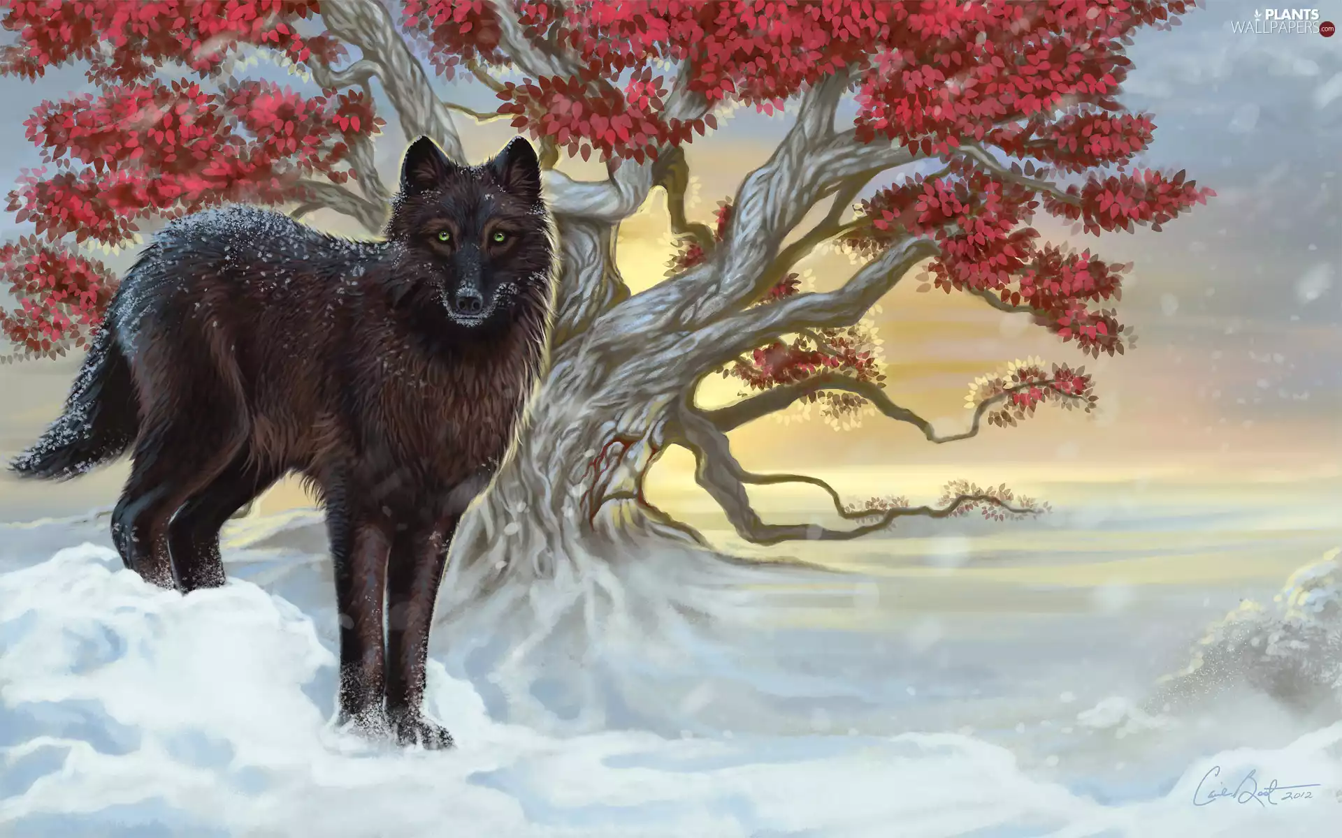 Poster Image, Wolf, trees