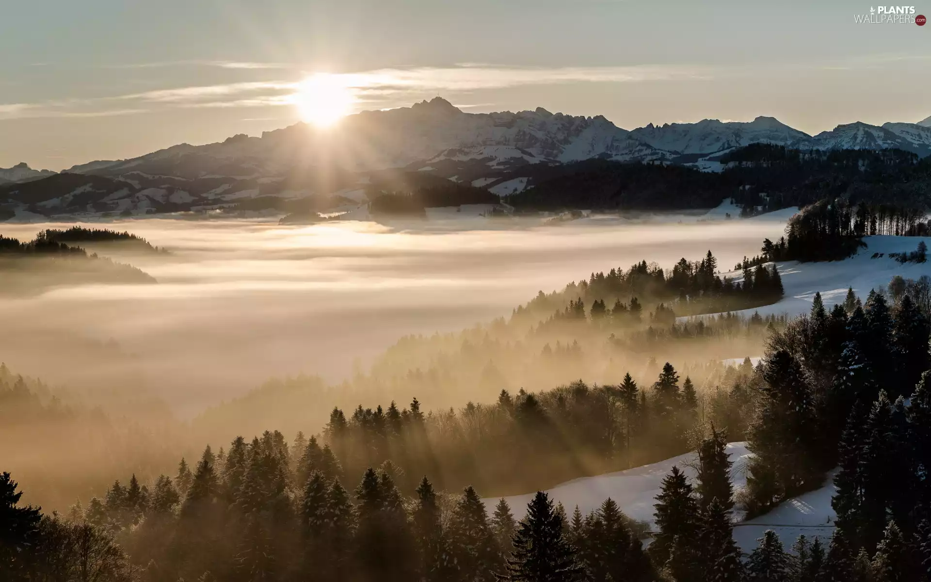 Sunrise, winter, rays of the Sun, Mountains, snow, Fog, trees, viewes, woods