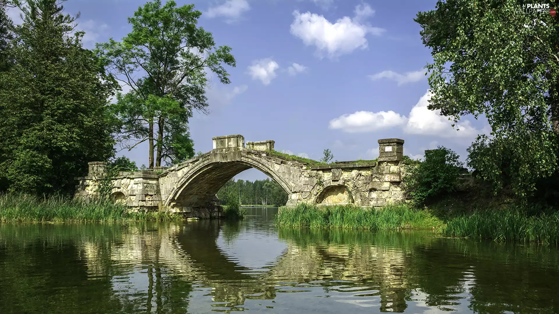 viewes, bridge, reflection, trees, lake, VEGETATION, Sky