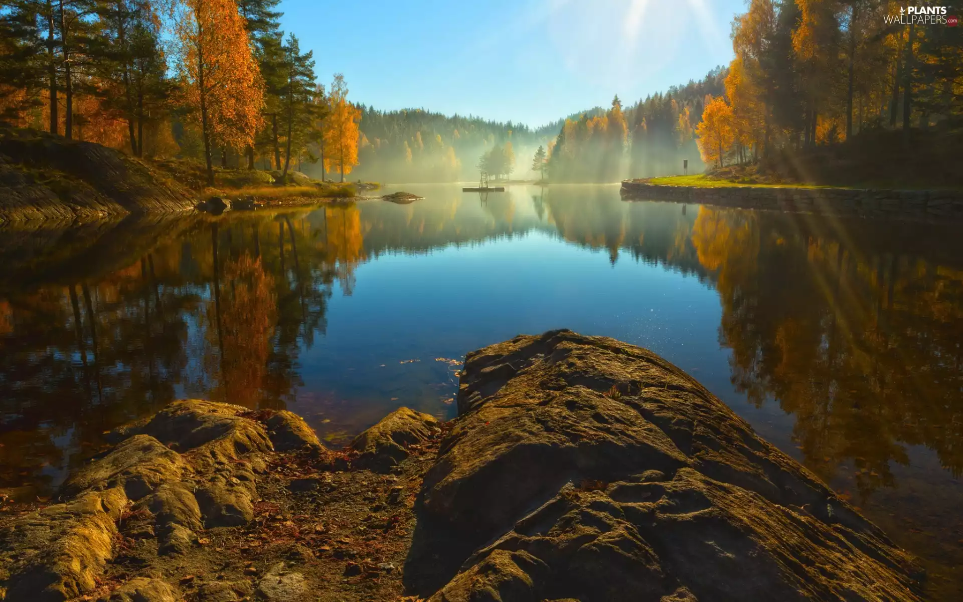 rocks, forest, reflection, Yellowed, viewes, lake, autumn, trees