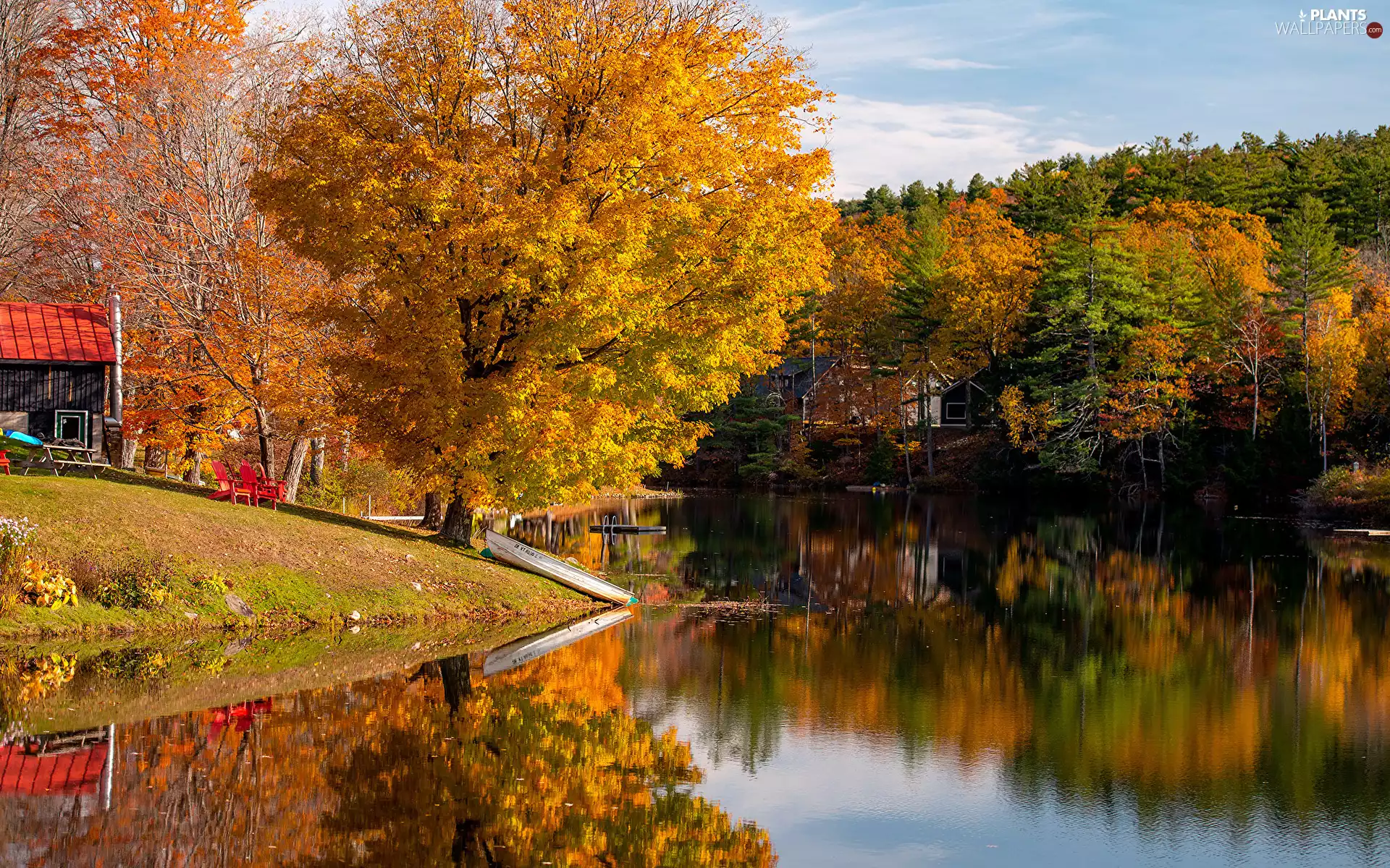 Boat, Houses, reflection, color, viewes, River, autumn, trees