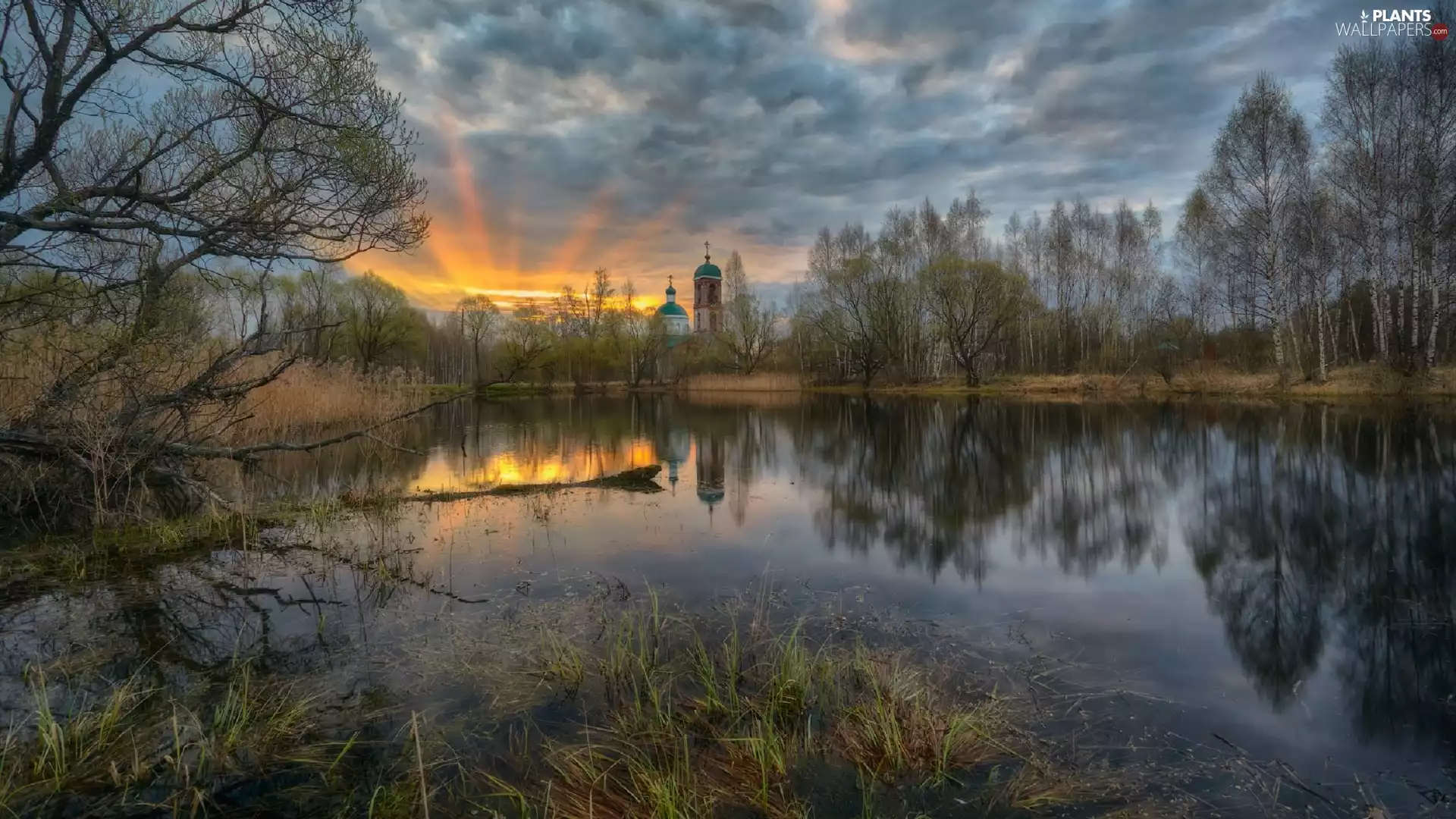 viewes, Sunrise, reflection, trees, lake, birch, Cerkiew