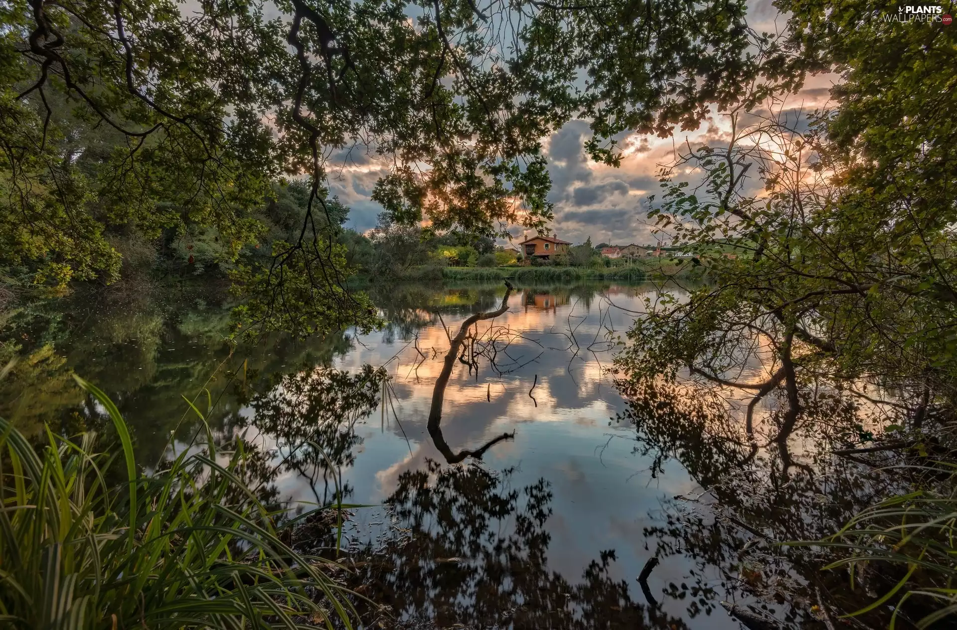 River, viewes, Houses, trees