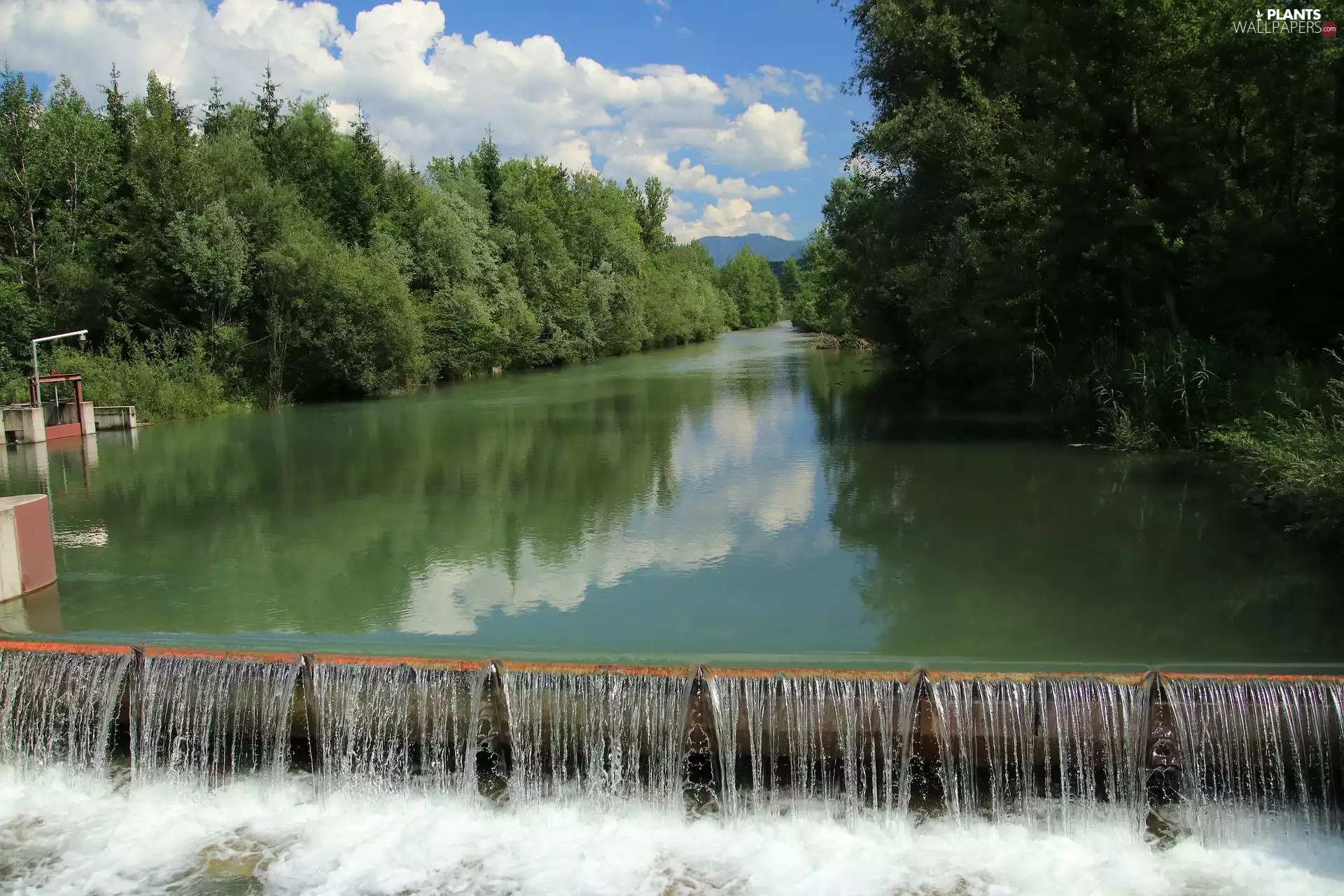 River, viewes, Knickpoint, trees