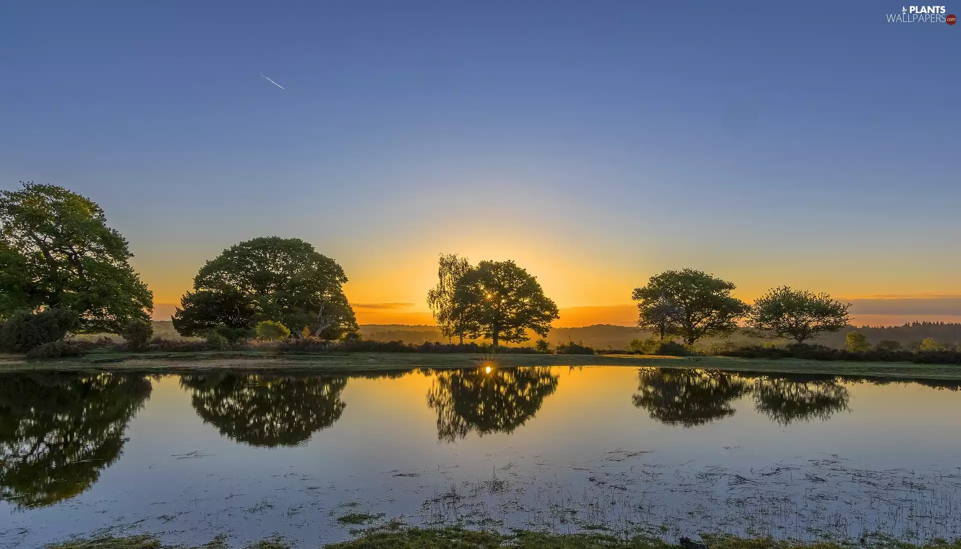 Great Sunsets, reflection, trees, viewes, River
