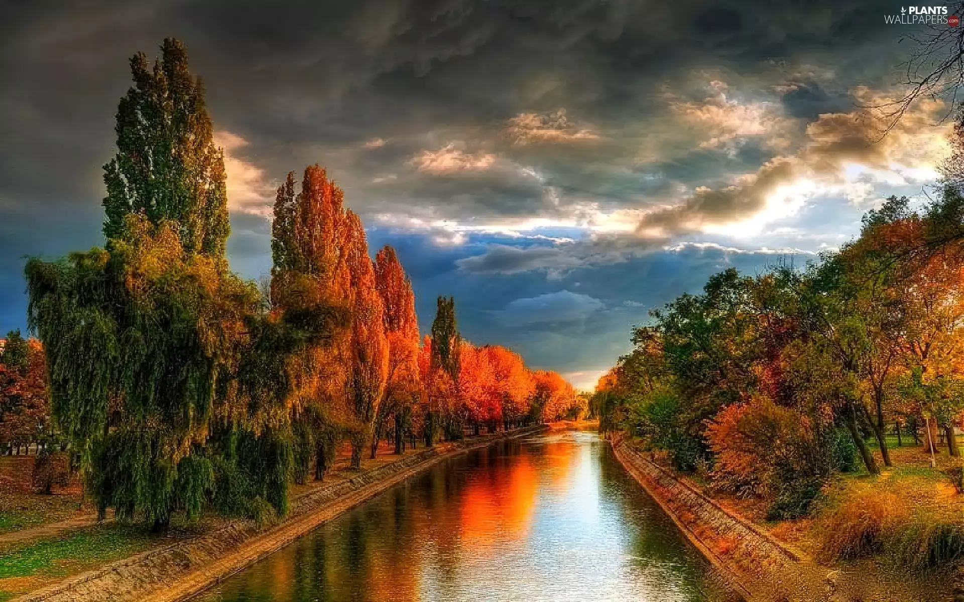 River, viewes, reflection, trees