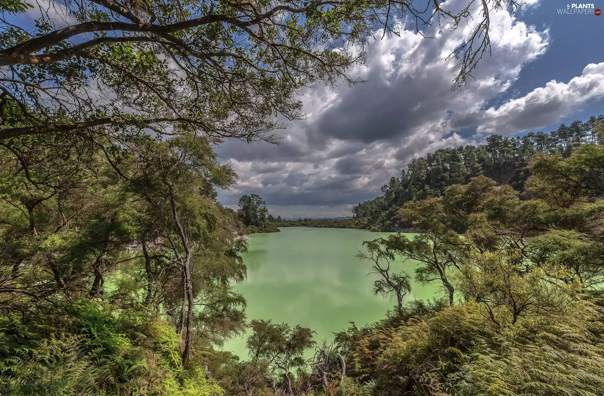 River, viewes, Sky, trees