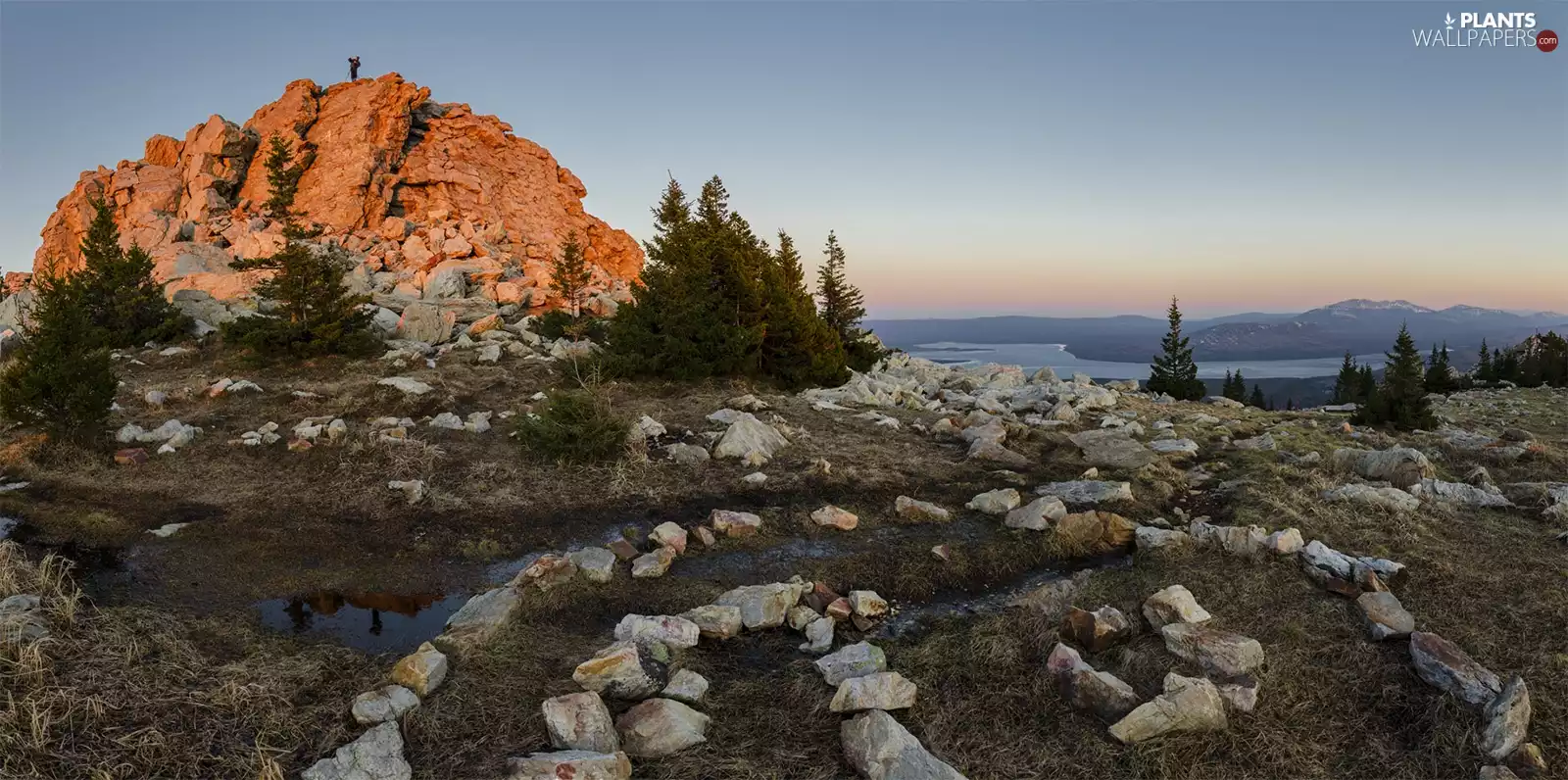 viewes, Stones, River, trees, Rocks, Spruces, Human