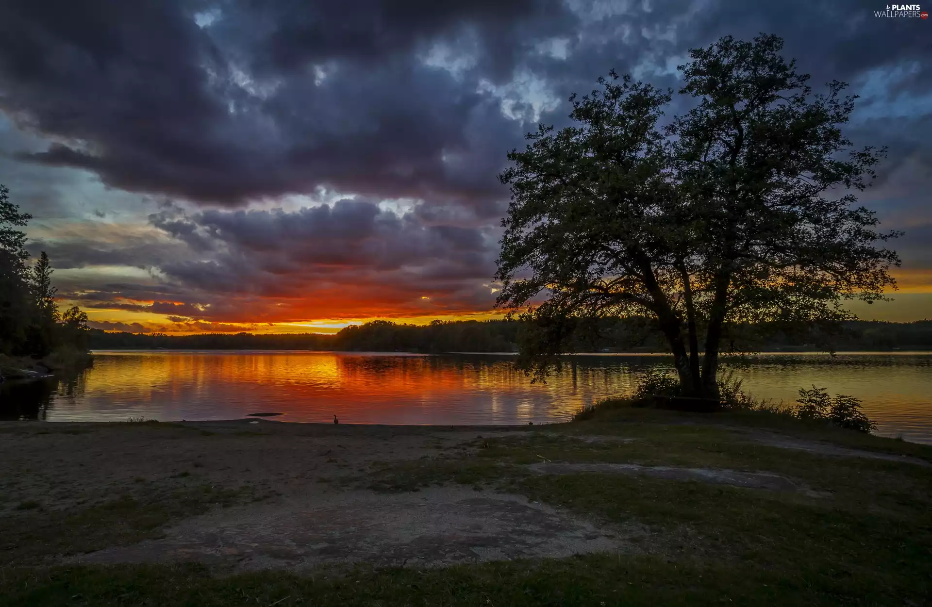 clouds, Great Sunsets, trees, viewes, River