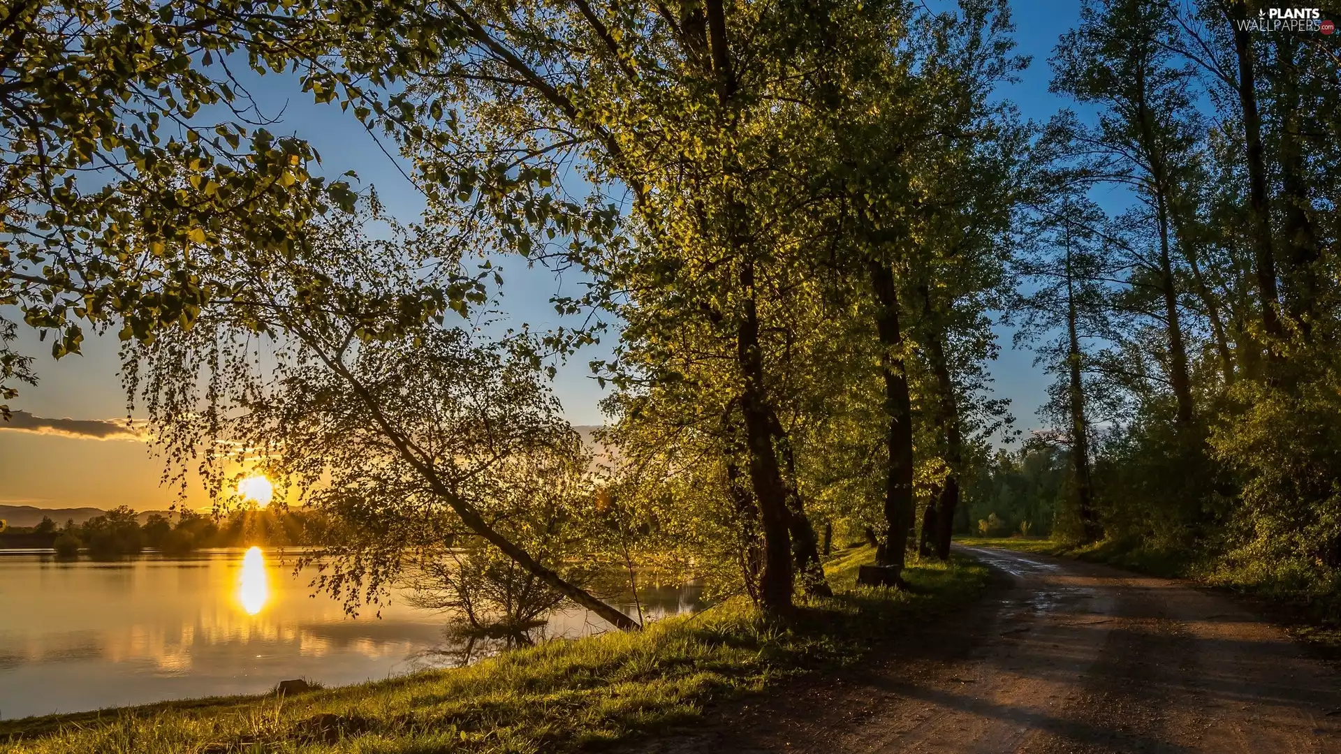 Great Sunsets, Way, trees, viewes, River