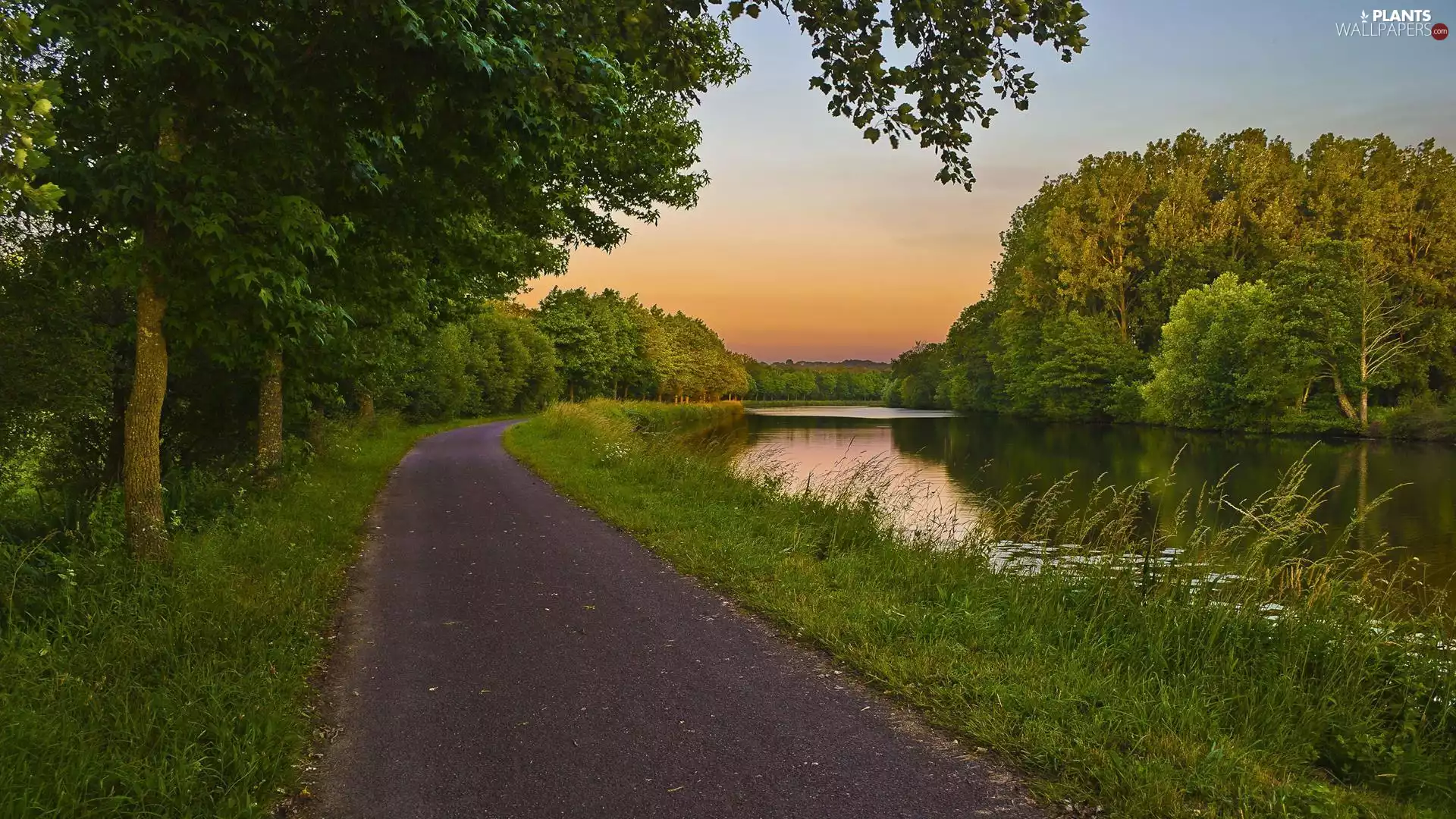 River, viewes, Way, trees