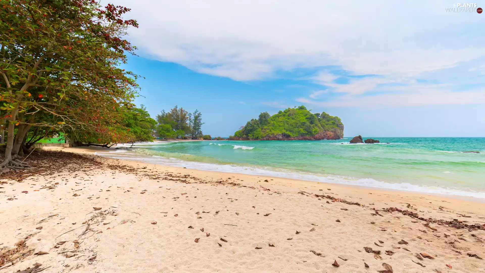 viewes, Beaches, rocks, trees, sea, Leaf, clouds