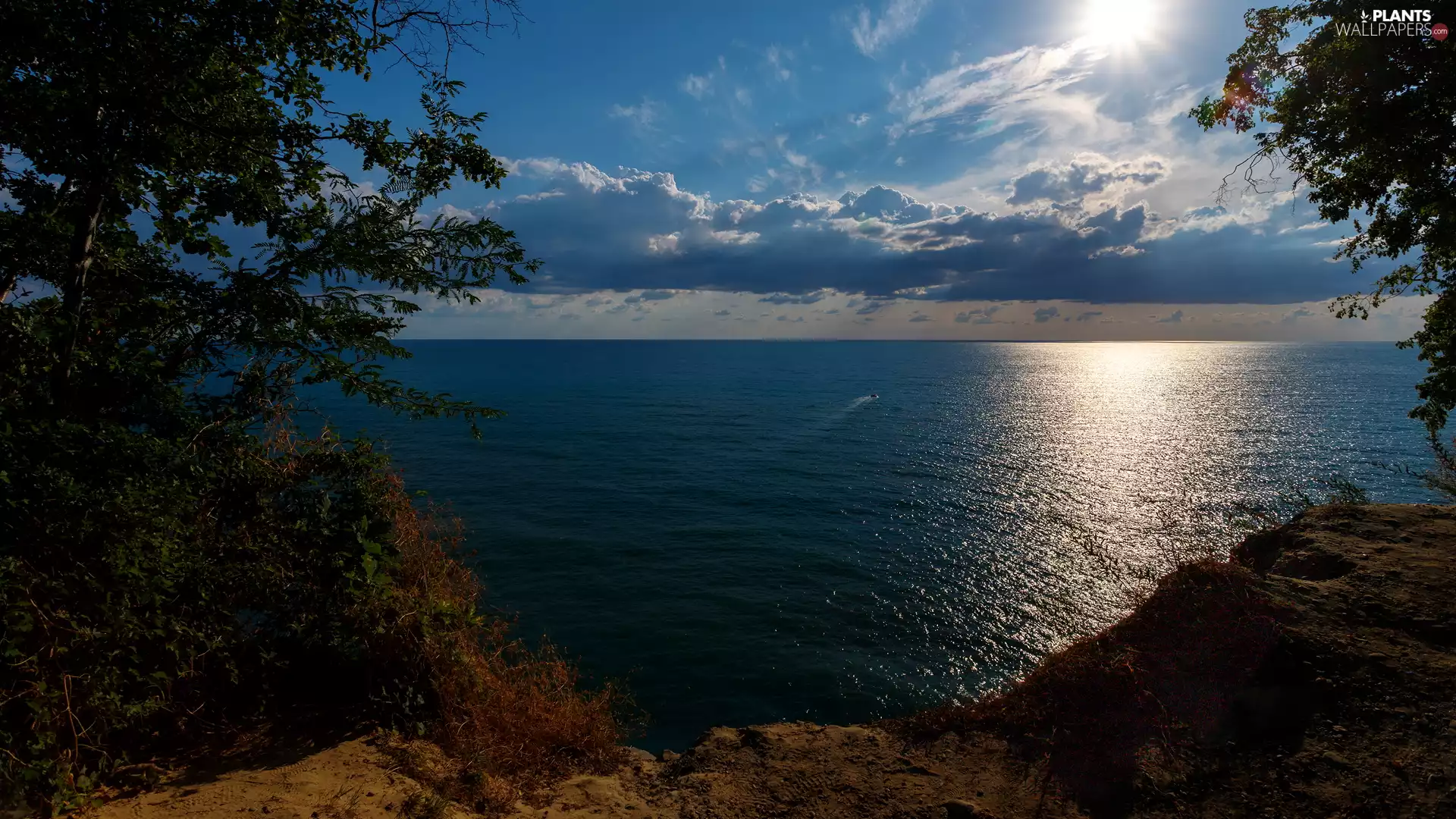 trees, viewes, clouds, Motor boat, day, rocks, sea, sunny