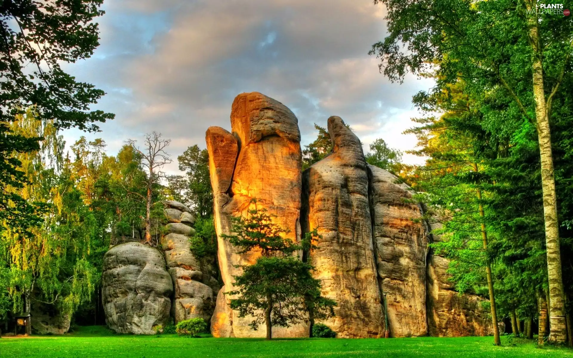 rocks, viewes, grass, trees