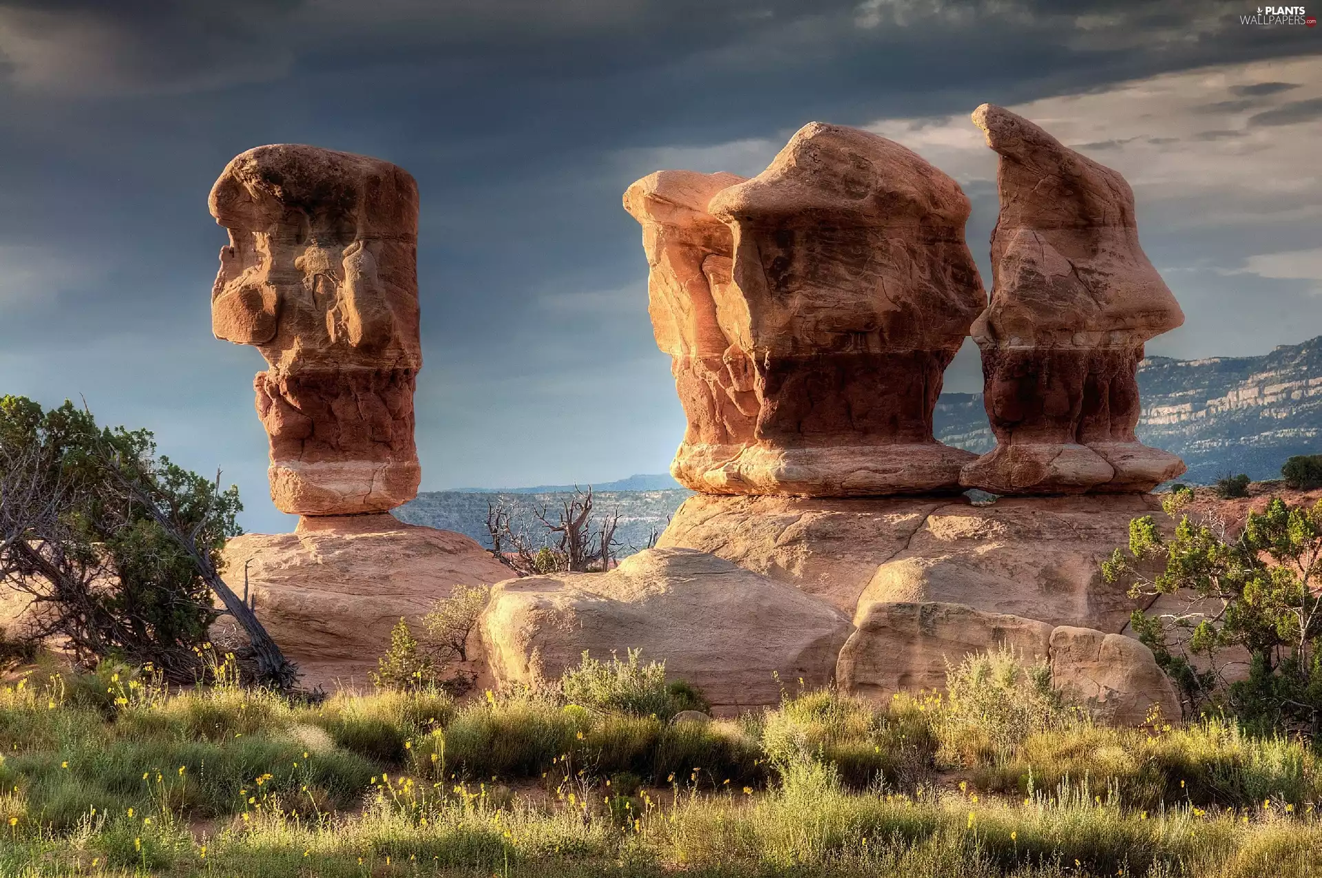 rocks, viewes, grass, trees