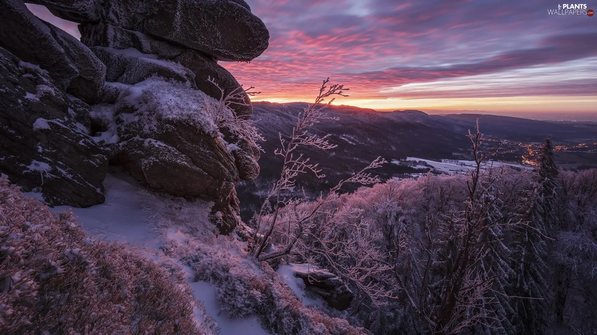 trees, viewes, winter, Great Sunsets, Plants, rocks, Mountains, frosty