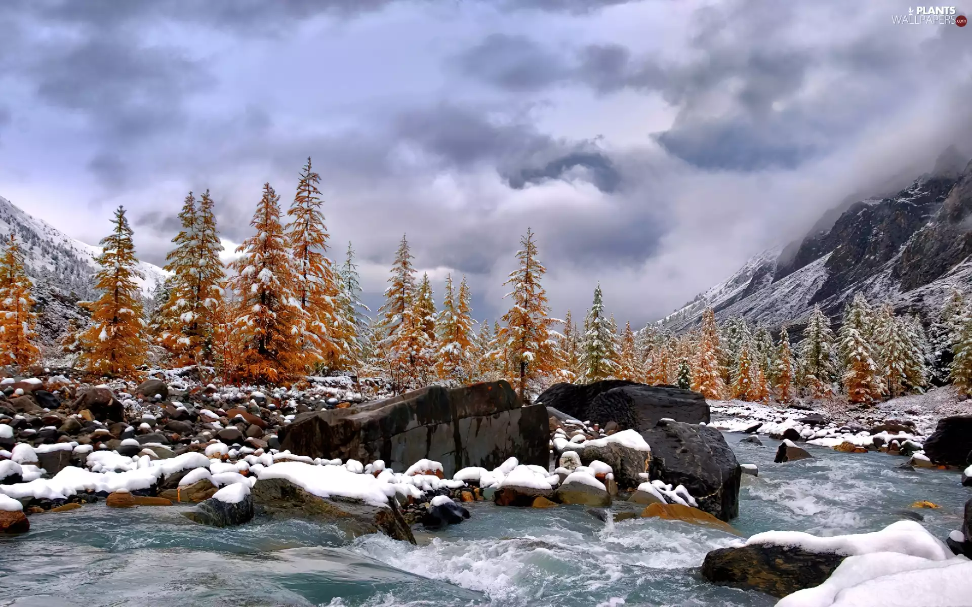 rocks, viewes, River, trees