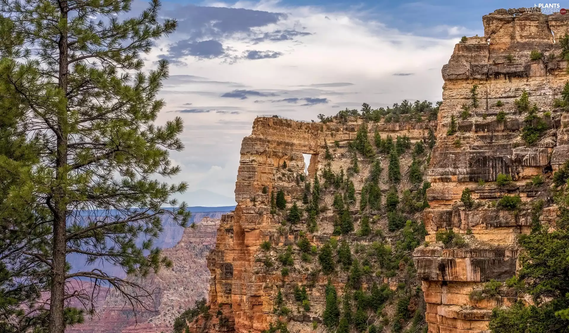 rocks, viewes, Sky, trees