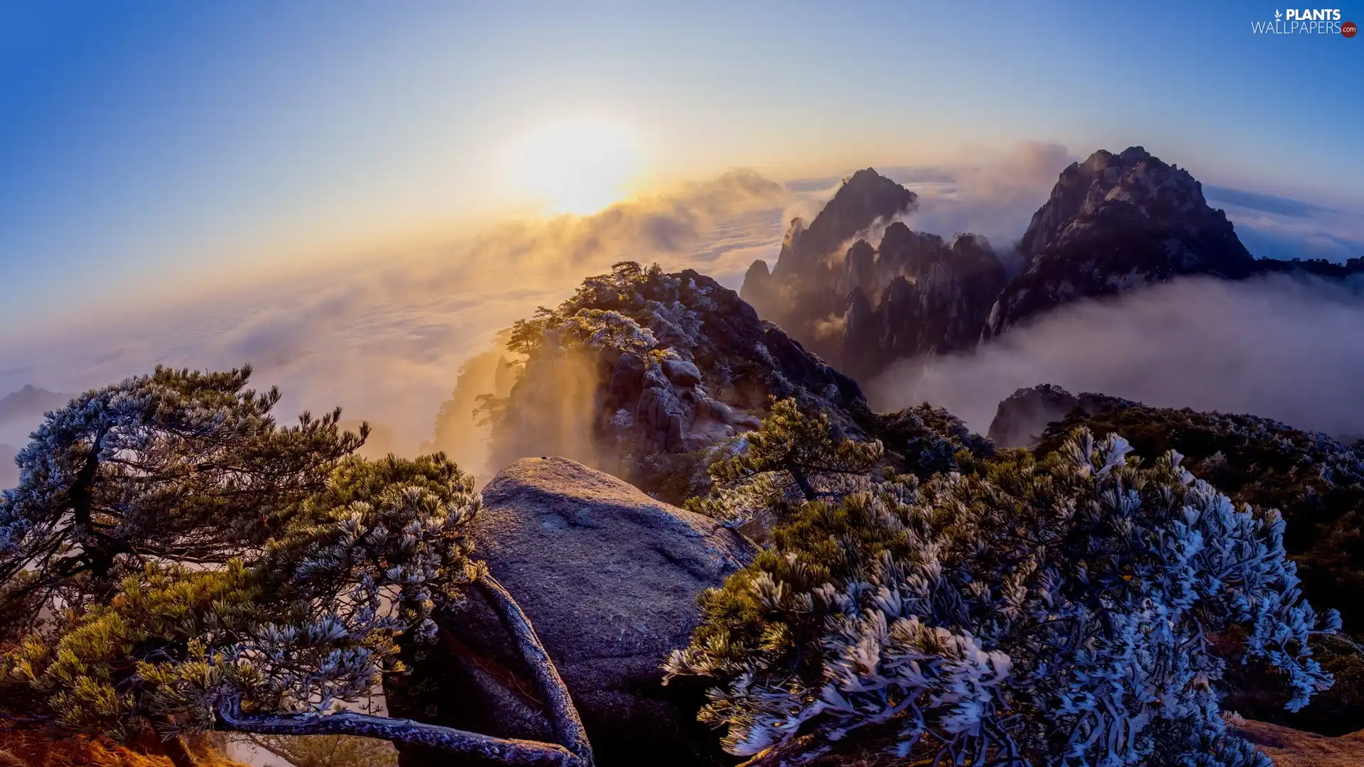 rocks, sun, trees, clouds